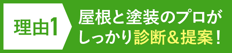 理由1 屋根と塗装のプロがしっかり診断&提案!